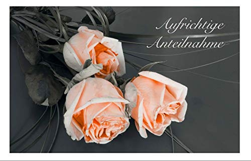 Merz Designkarten 10 Stück einfühlsame Premium-Trauerkarten/Beileidskarten im Set mit 10 edlen, weißen Umschlägen - aufrichtige Anteilnahme - Trauerkarte, Spruch, Text Beileid Mitgefühl, Todesfall
