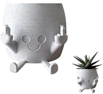 Bssowe Vaso Per Piante Con Faccina Sorridente, Vaso Per Piante Sorridenti Con Dito Centrale, Piccole Fioriere Da Appendere In Resina Per Gli Amanti Delle Piante Da Interno e Da Esterno