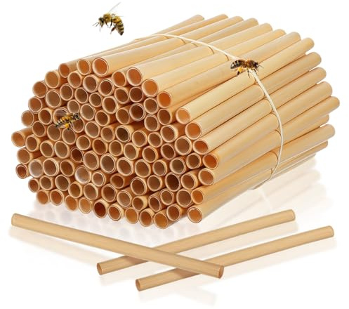 TOYANDONA 100 Stück Natürliche Schilfbienenröhren - 15 cm Lang, 0,5-0,8 cm Durchmesser, Nachfüllpackung für Mauerbienenhäuser, Solitärhäuser, Insektenhotels Und Insektenhäuser (hellgelb)