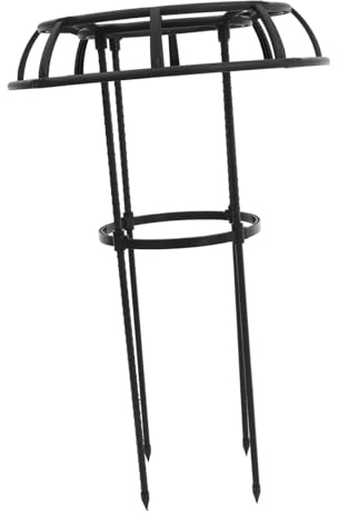 COOPHYA Trellis de Jardin pour Plantes Grimpantes Support Robuste pour Vignes Fleurs pour Pots Extérieurs Facile à Installer Durable
