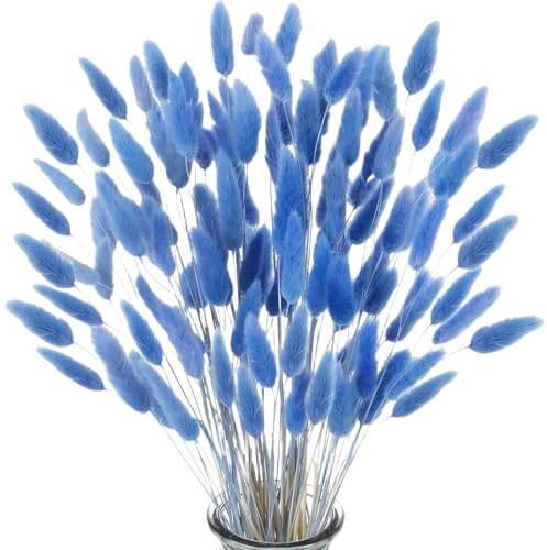 MHDAMAI Secas Naturales Cola de Conejo Flor,Hierba Seca de Cola de Conejo 60pcs Hierba de Pampas Secas para La Sala de Estar del Hogar Decoración de Racimos de Flores,Azul