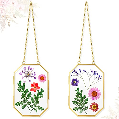 Qunclay Mothers Day Gift for Mom - 2 Pack Pressed Floating Flower Frame, Double Glass Wall Hanging Frame with Chain for Dried Flowers, Botanical Art, DIY Craft, Gift for Women(Gold,5 x 7 Inch)