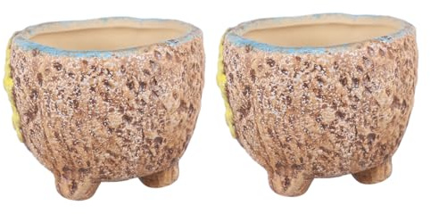 VANZACK 2 Piezas Macetero De Cerámica Lisa Pintado a Mano Macetas De Ceramica Maceta De Bonsai Mini Jardinera Olla De Cerámica Plantas En Miniatura Bonsái Flor Soporte Coreano