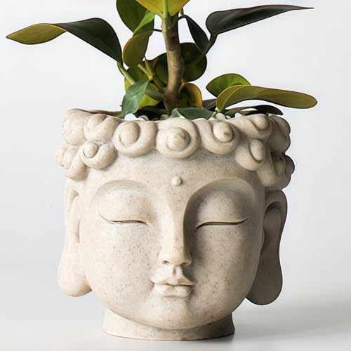 SYDDOL INSPIRED Blumentopf