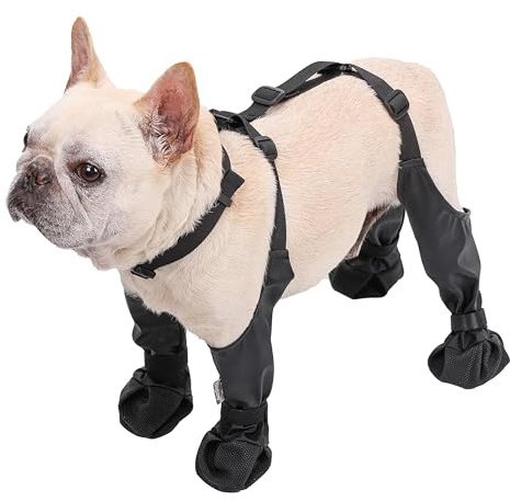 Wood Homing Wasserdichte Hundeschuhe – Rutschfeste Pfotenschutz Stiefel mit verstellbarem Geschirr Klettverschluss, Pfotenpflege bei Verletzungen, für Outdoor Spaziergang Regen Schnee Sommer Winter(M)