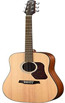 WALDEN Westerngitarre, WAD550E, Dreadnought, Decke massiv, Mattlack, EQ