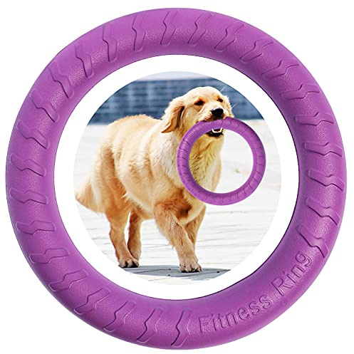 Anello per esercizi di agilità tromba viola – gioco all'aperto per cani di piccola e grande taglia