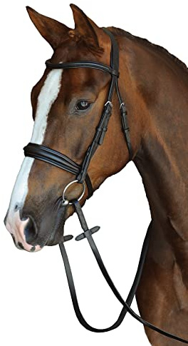 Collegiate Mono Crown Padded Raised Cavesson Bridle, Brown, Cob