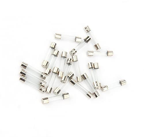 SYSCZPWC 200 Stück flinkes Glassicherungs-Set-Sortiment, 6 x 30 mm, 250 V, 0,5 A, 1 A, 2 A, 3 A, 4 A, 5 A, 6 A, 8 A, 10 A, 15 A, 20 A, 25 A, 30 A, AMP-Sicherungsrohr(0.1A)