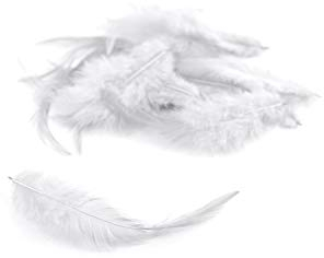 3g Hahnenkreuz Federn ca. 8-13cm (weiß 029) // Dekofedern Bastelfedern Federn Hahn Natur Schmuckfedern Vogelfedern Hahnenfedern