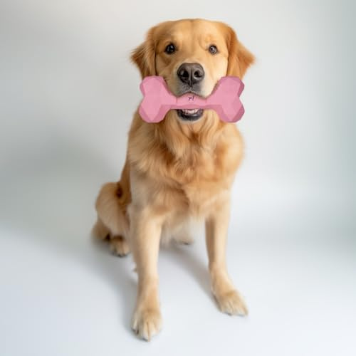Kauspielzeug für Hunde Kauknochen robust & langlebig: Hundespielzeug gegen Langeweile aus Naturkautschuk für aggressives kauen - befüllbar, robust & gut für die Zahnpflege | Farbe: Rose, Größe: S