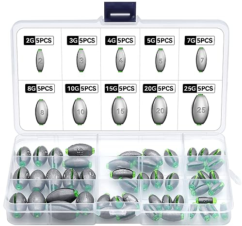 Runyu Angeln Zubehör, 50 Stück Angel Zubehör Angel Blei mit Aufbewahrungskiste für Das Angeln im Freien(2g/3g/4g/5g/7 g/8g/10g/15g/20g/25g)