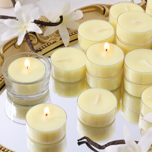 DEVI Vanilla Bean Highly Scented Tea Lights Candles 48 Pack, 5-6 Hours Natural Palm Tea Candles for Home Scented, Small Tealight Votives with Essential Oils for Home, Thanksgiving