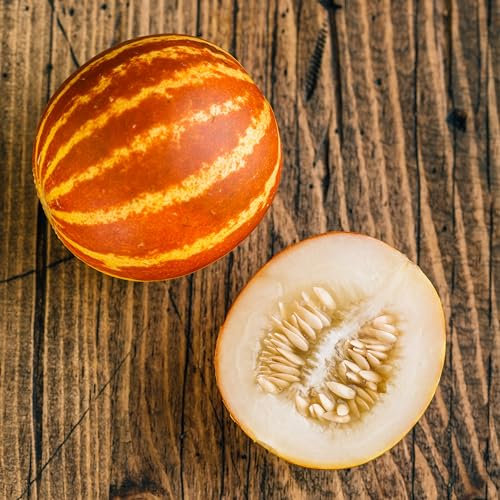 PREMIER SEEDS DIRECT - Melon - Queen Annes - 30 Seeds