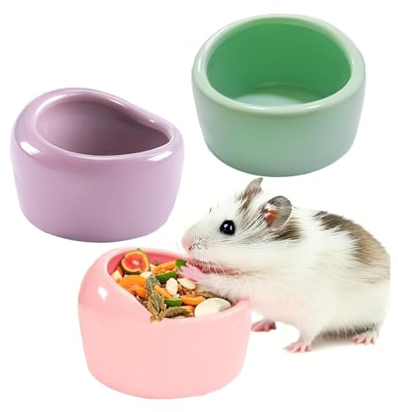 JSLZF Ceramic Hamster Bowl Small Rat Food Bowl Hamster Dish Prevent Knocking Over, Food Splashing and Chewing Feeding Dish for Gerbil Chinchilla Rat (3 PCS)