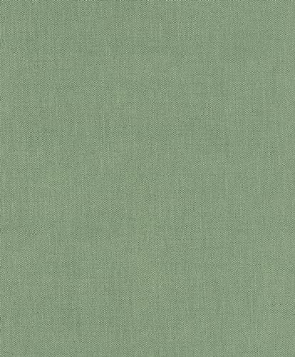 Rasch Tapeter 633191 – unik tapet av fleece i grönt från kollektionen Color your life – 10,05 m x 0,53 m (L x B):