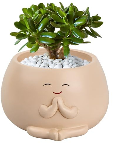 Naseom Vaso da fiori in resina Smile per piante grasse, vaso da giardino, vaso per fiori, piante da casa, ufficio, con sorriso, vaso portatile per giardino, scuola, casa (beige)