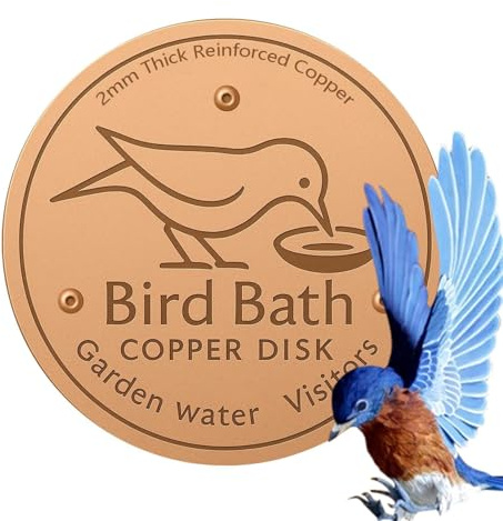 Disco de Cobre para Baños de Pájaros Disco de Limpieza de Cobre