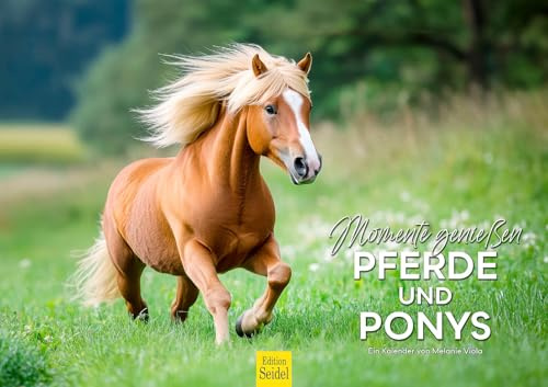 Edition Seidel Premium Kalender Pferde und Ponys 2026 Format DIN A3 Wandkalender Pferdekalender Natur Haustier Pferd Stute Hengst Fohlen Pony Melanie Viola