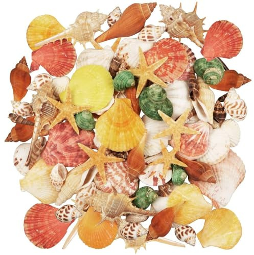 Taasmoog 70 Stück Muscheln, Muscheln zum Basteln 9 Arten Ozean Muscheln und 2 Arten Seesterne Gemischte Muscheln Natur Muscheln Strandmuscheln Deko Muscheln für Vase Füllstoffe Fisch Panzer