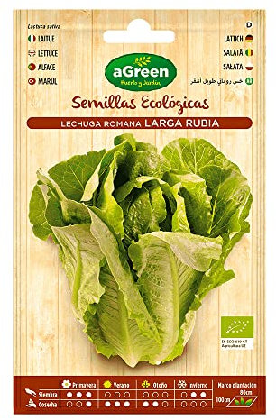 SOBRE SEMILLAS ECO LECHUGA ROMANA LARGA AGREEN