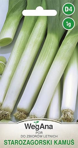WegAna Lauchsamen 1g Porree Starozagorski Kamush Robuste Gemüsesamen, Gemüse Samen Anzucht Saatgut für Gewächshaus Garten