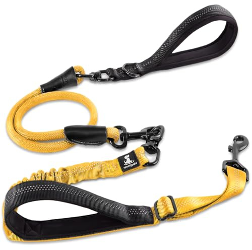 Strapazierfähige Bungee-Leine für große und mittelgroße Hunde mit Anti-Zug für Stoßdämpfung, rutschfeste, reflektierende Leine für draußen (verstellbar, Premium-Gold, Bungee-Leine, 150 cm)
