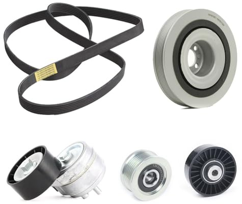 RIDEX Kit Cinghie Poly-V 542R0615 MULTIPLA (186) BRAVO I (182) 1835mm 21,36mm