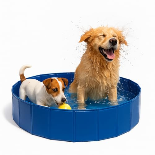 Piscina Desmontable para Perros Grandes y Pequeños - 100x30 - Mascotas Verano - Baño Refrescante