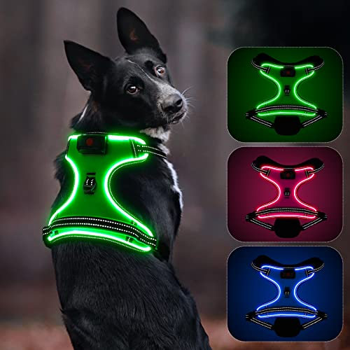 Leuchtendes Hundegeschirr, Colaseeme Light Hundeweste mit reflektierenden Streifen und verstellbarem Geschirr, LED-Hundelicht wiederaufladbar für kleine, mittelgroße und große Hunde (RGB,S)