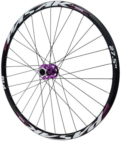 GEIRONV 24 26 27,5 29 Zoll Fahrrad Vorder/Hinterrad, Scheibenbremse Aus Aluminiumlegierung 32 Löcher Doppelwandfelgen 7-12 Geschwindigkeiten, Mountainbike-Rad(Front Wheel,24inch)