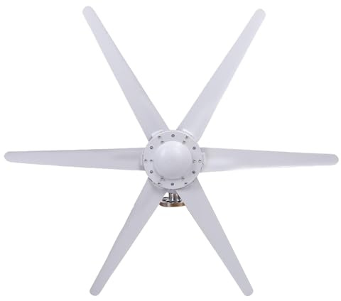 YWBL-WH Generatore Eolico 300 W, Soluzione Energetica con Avviamento a Bassa velocità a 6 Pale per, Fattorie, Barche, Regolazione Automatica della Direzione del