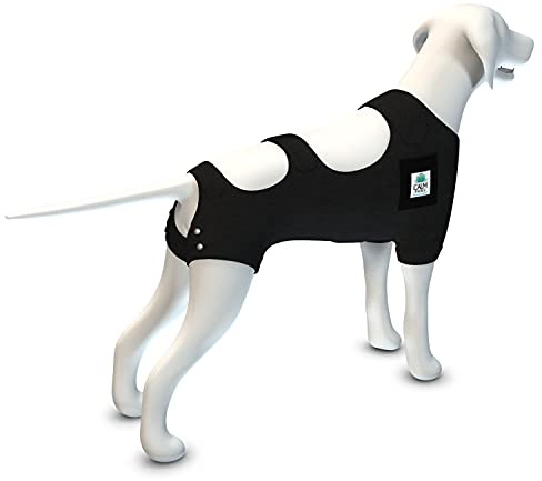 Calm Paws Calming Recovery Vest with Dog Calming Disc (Small)