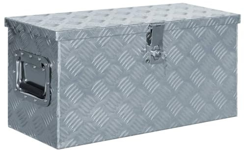 Alu Kiste mit Deckelüberstand verschließbar, Truckbox aus Aluminium, Werkzeugbox Alu Unterbaubox robuste Staubox Werkzeugkiste für Anhänger, LKW, 61,5 x 26,5 x 30 cm Silbern