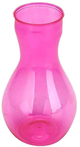 Hinleise Pot de fleurs hydroponique en plastique transparent pour jacinthe (10 x 17 x 6 cm)