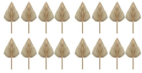 Janasiba Lot de 16 feuilles de palmier séchées - Éventail bohème - Plantes artificielles - Feuilles de palmier tropicales