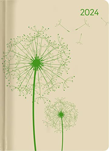 Ladytimer Blowballs 2024 - Pusteblume - Taschenkalender A6 (10,7x15,2 cm) - Weekly - 192 Seiten - Notiz-Buch - Termin-Planer