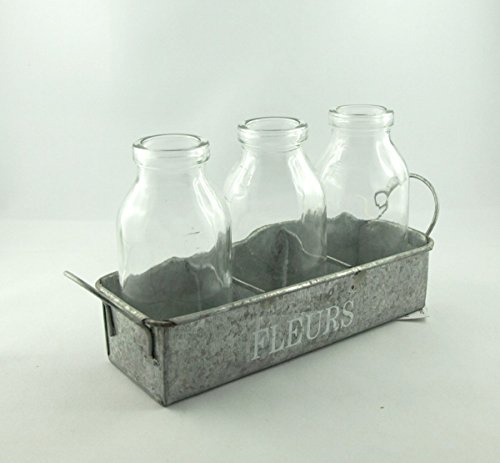 3 Blumenvasen als Flaschenvasen im Zinktablett mit Henkel. 1 Set