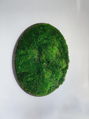 Großes Moosbild Rund mit Waldmoos und Hügelmoos Gedankenwunder Manufaktur