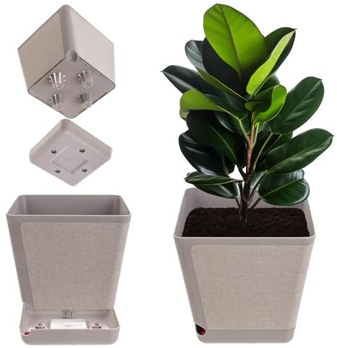 KADAX Vaso decorativo in plastica, vaso rettangolare con sistema di irrigazione, fioriera con auto-irrigazione e serbatoio dell'acqua (beige, 18 cm)