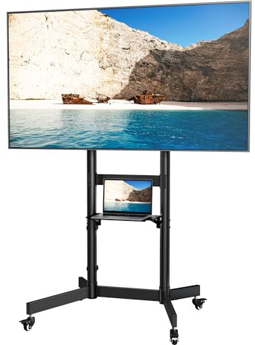 ECOTINY Robuster mobiler TV-Ständer für 55–100 Zoll Fernseher – Bis zu 75 kg belastbar, mit Ablagefach & arretierbaren Rollen, Bodenmontage, VESA max. 800x600 mm, Schwarz