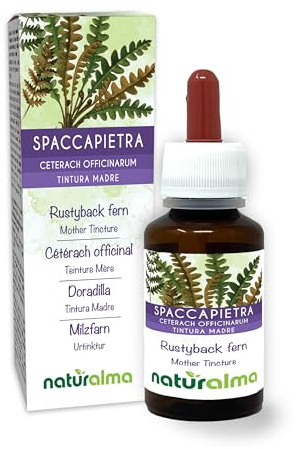 Spaccapietra o cedracca (Ceterach officinarum o Asplenium ceterach) foglie Tintura Madre analcoolica Naturalma - Estratto liquido gocce 60 ml - Integratore alimentare - Vegano