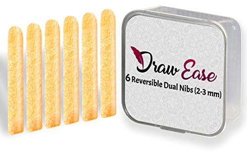 Draw Ease Acrylic Paint Pens Nibs Set of 6 Dual Reversible Glass Pen Tips, 2-3 mm Medium Tip Acrylic Pens nib Suitable for Porcelain, Wood, DIY Craft, Mug Design, Rock Painting, & Ceramic