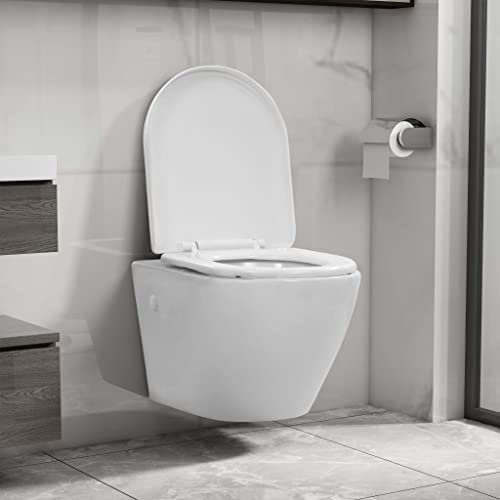 Hardware Idraulici Apparecchi Idraulici Toilette & Bidet Toilets-Wall Hung Rimless Toilet Ceramica Bianco