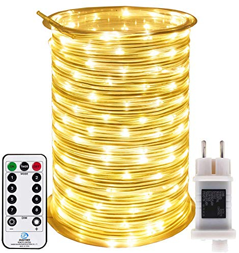 RcStarry New 30M 300LEDs Lichterschlauch Strombetrieben Lichterkette mit Fernbedienung & Timer, 8 Modi, Durchmesser 3mm Lichtschlauch IP67 Wasserdicht,für Außen Innen - Warmweiß
