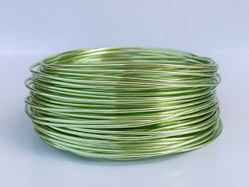 18 Gauge Anodized Aluminum Wire 98 Feet for Jewelry Making Craft DIY（1mm,Fruit Green,41008）