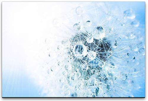 Paul Sinus Art Pusteblume mit Tropfen Wandbild in verschiedenen Größen Wähle Deine Größe 80x120cm