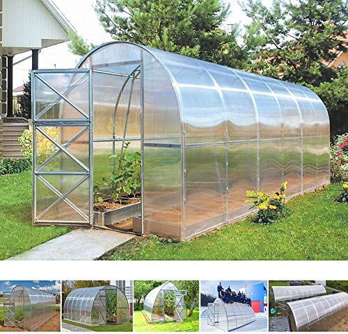 MadeluX Invernadero túnel 2 x 6 m policarbonato 4 mm Compact de SerraShop, invernadero ampliable para el jardín, para el huerto o para su jardinería.