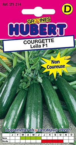 10 Graines de Courgette Leïla F1