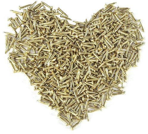 HVDHYY 500PCS Petits clous Rond Tête Petits Clous en Bois Boîtes Cécoratives Bricolage Accessoires Dorées 1.5 * 20mm